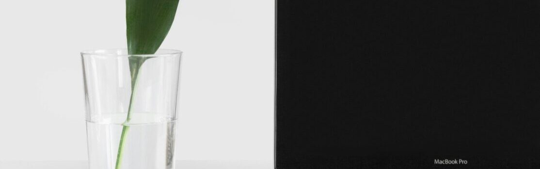 Pflanzenableger neben aufgeklapptem Notebook